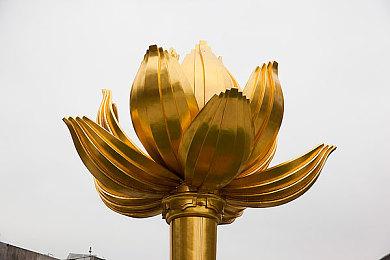 今晚21点将公开《宝可梦：朱＆紫》最新情报